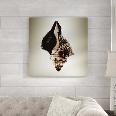 Gilt Shells " Gilt Shells IV " by Zoey Riley