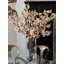 Cherry Blossoms In 16" Glass Cylinder-454575418