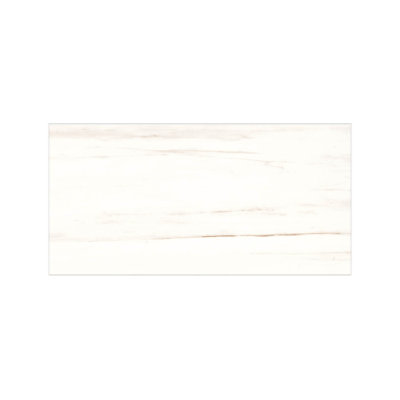 Couvercle de 12 po Kaia x 24 po Carreau de porcelaine mat pour mur et plancher aspect pierre