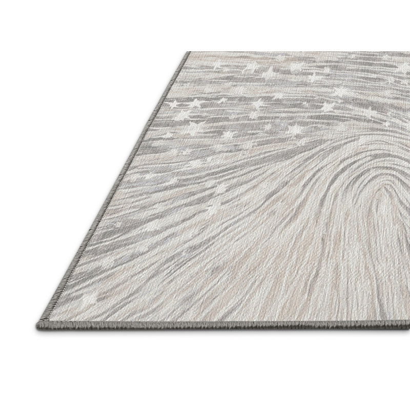 Machine Washable Gray Area Rug, Rectangle 7' x 9'