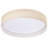 Ledja 20 inch Flush Mount Ceiling Light Dimmable