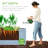  4X2x2ft Outdoor Metal Raised Garden Bed For Vegetables Flowers Herbs - Mist Blue-349714918-349714920