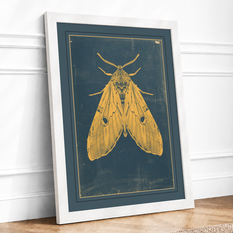 Golden Moth Study Botanical - Framed Print, A3 - 42.0 x 29.7 cm, White