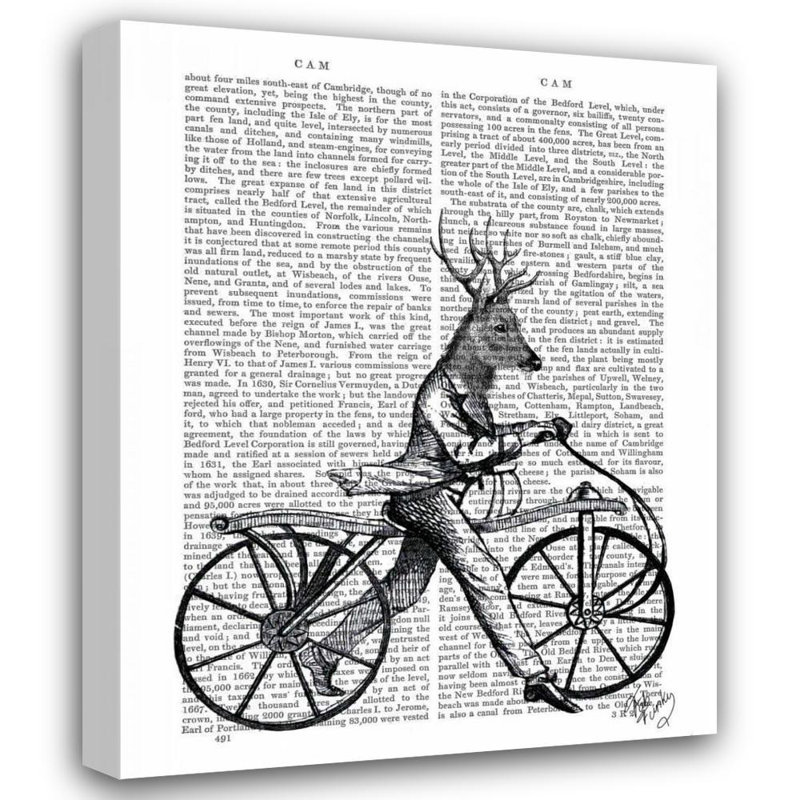 «Dakota Fields Fab Funky», reproduction d'art sur toile tendue: Dandy Deer, H 45 po x l 36 po
