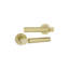 Zest Lever on Rose Satin Brass