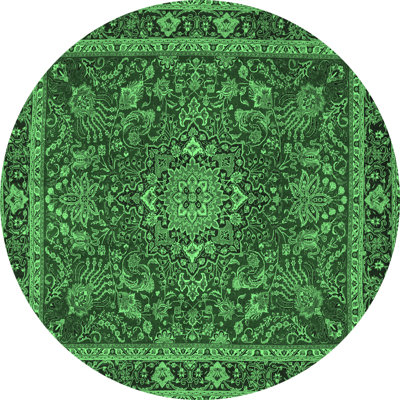 Washable Oriental Indoor Rug