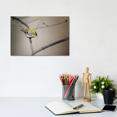 Firecrest 1 Piece Wrapped Canvas Wall Art