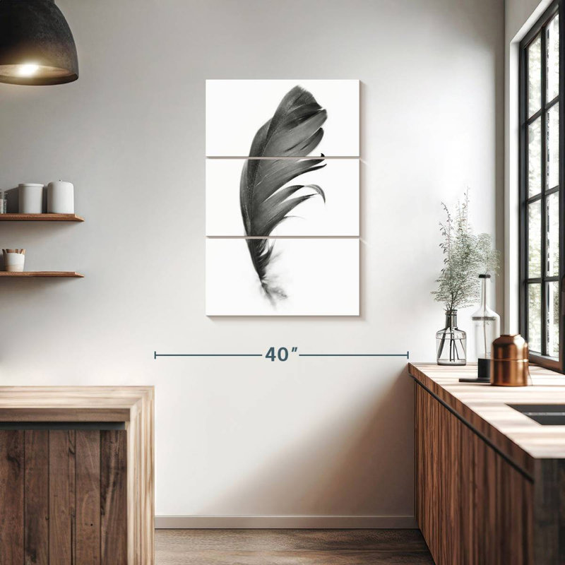 Plume noire, H 65 po x l 42 po