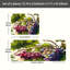 Tapis de cuisine multicolore 2 pièces