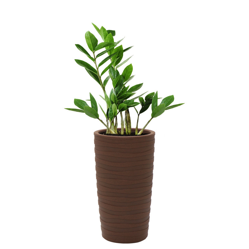 Pot Planter, Terracotta