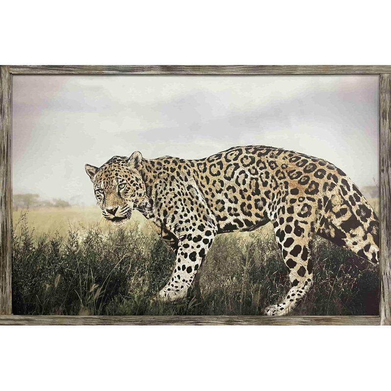 Le Jaguar dans l'herbe - reproduction sur toile tendue, H 16 po x l 24 po x P 1,5 po