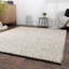 Nevlin Hand Woven Area Rug-2138364040-2138364047
