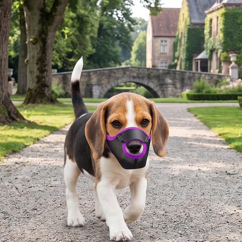 Museau de chien en maille respirante, mauve, PPS
