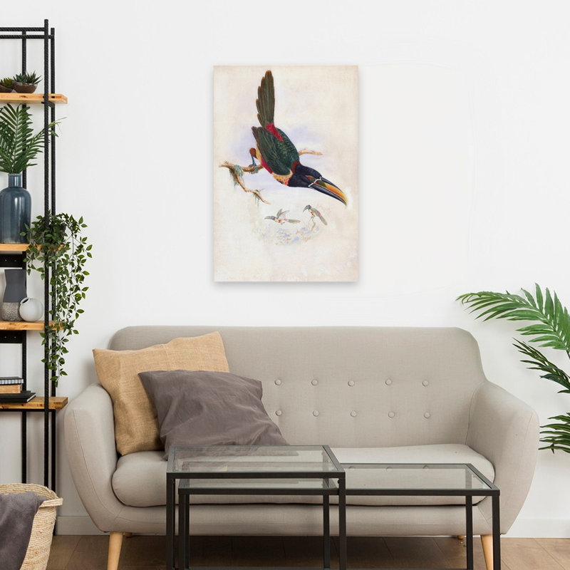 Aracari d'Amérique centrale - Art tropical rétro avec toucan, H 24 po x l 16 po