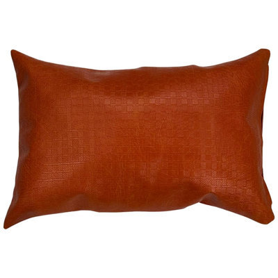 Pillow Cover & Insert