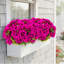 10 " Faux Geranium in