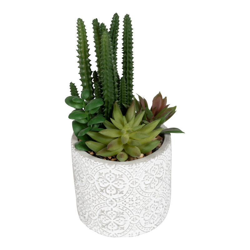 20cm Faux Succulent Plant in Clay Pot