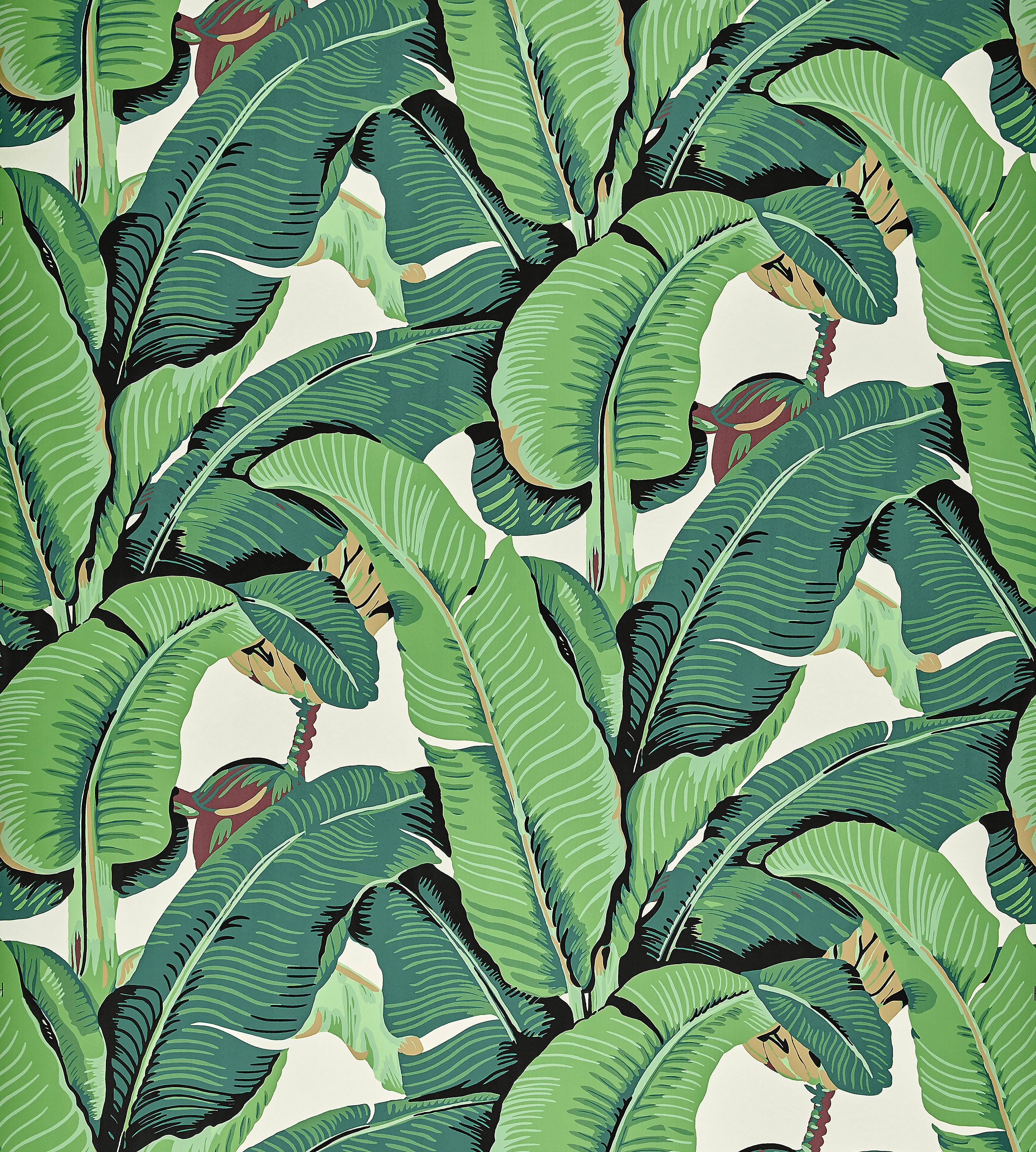 Tropical Hinson Palm Green Throw Pillow Cover