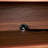 Ikeem 60.7'' W 4-Door 2-Shelf Sideboard-1667821505