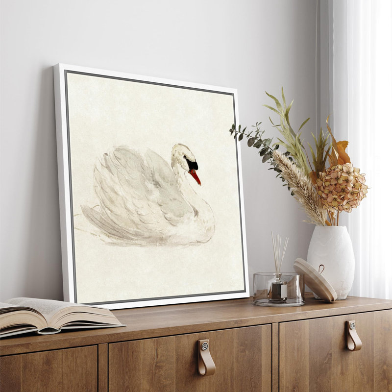 Animals " Elegant Swan In Repose ", White  Canvas, 24" H x 24" W