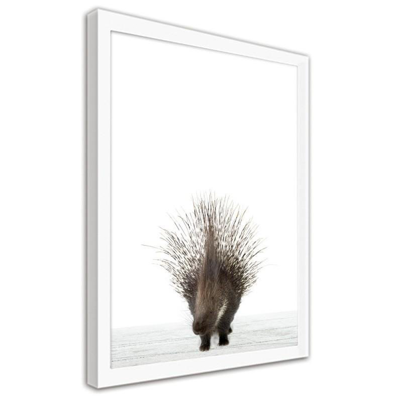 Gerahmter Fotodruck Porcupine