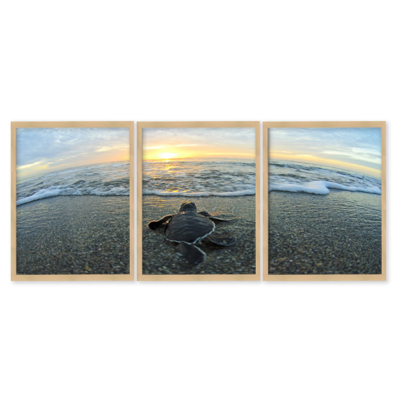 " Turtle " 3 Piece Art Color Photography Set, Natural Framed Textured Wall Art, No Mat, 40" H x 90" W