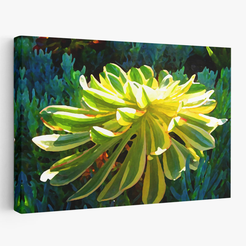 Plantes, fleurs, abstrait, paysage, nature, soleil levant, art mural, H 40 po x l 60 po