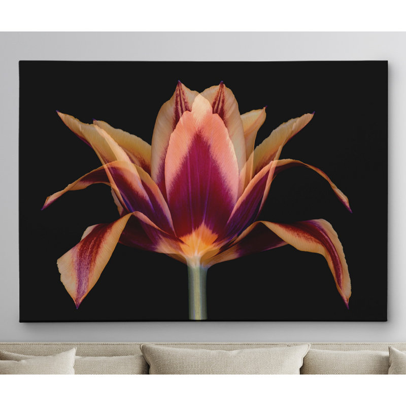 « red tulipe », reproduction d’impression sur toile tendue, H 16 po x l 20 po x P 1,5 po, Toile tendue