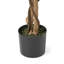 Ficus artificiel-158562944