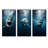 Blue Shark Apex Predator Photo - Shark Canvas Art Print Set Of 3-1393568878-1393568877