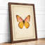 Centered Butterfly Botanical - Framed Print-1018233993-1018233998