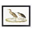 Two Herons by John Edward Gray - Picture Frame Painting Print-55614541-55614542