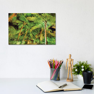 Palm Tree Path 1 Piece Wall Art on Canvas