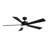 Wynd 5-Blade Outdoor/Indoor Smart Standard Ceiling Fan with LED Light Kit and Remote Included-1317851663-1317851662