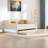 Modern Upholstered Daybed With Led Belt, Trundle And Button Tufted Design-115405858