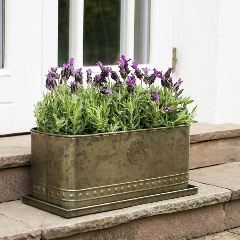 Kew Regency Outdoor Planter, Aged Brass, 17 cm H x 43 cm W x 19 cm D