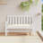 Ebern Designs Garden Bench Cushion 2.8" Fabric-771969734-771969729