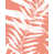 Corail est en rupture de stock
