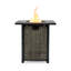 Foyer de table au propane en acier 28 po 2800 BTU