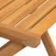 Suzman Folding Chair Set