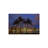 " USA, Hawaii, Honolulu, Palm Trees With The Night Lights Of Honolulu " by Terry Eggers