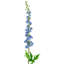 Tiges Delphinium-86731930