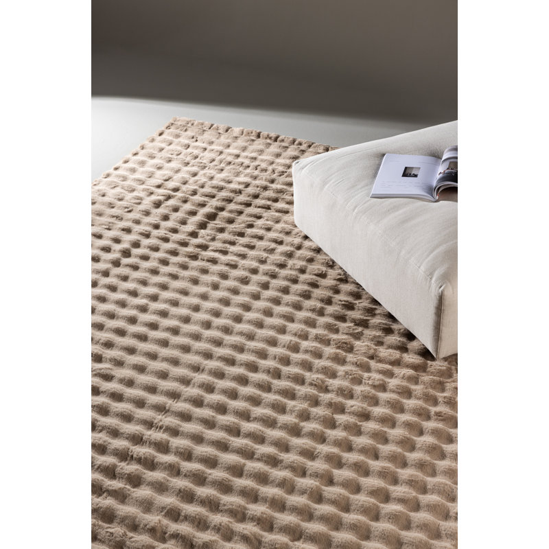 Antunes 160cm X 230cm Area Rug, Natural