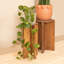 Table d'appoint Paulownia-969888461-969888456