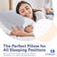 Continental Bedding 2-Pack Plush Down Pillows, 550FP, 75% Down 25% Feather, 400TC Cotton Cover-94408329