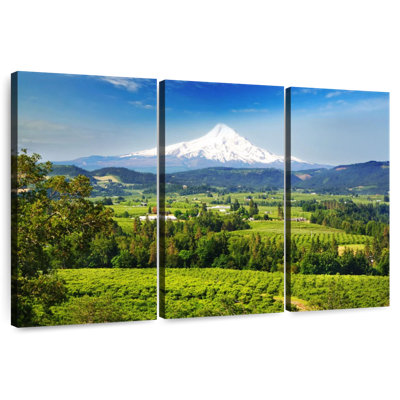 Alvord Mount Hood Rural Vista