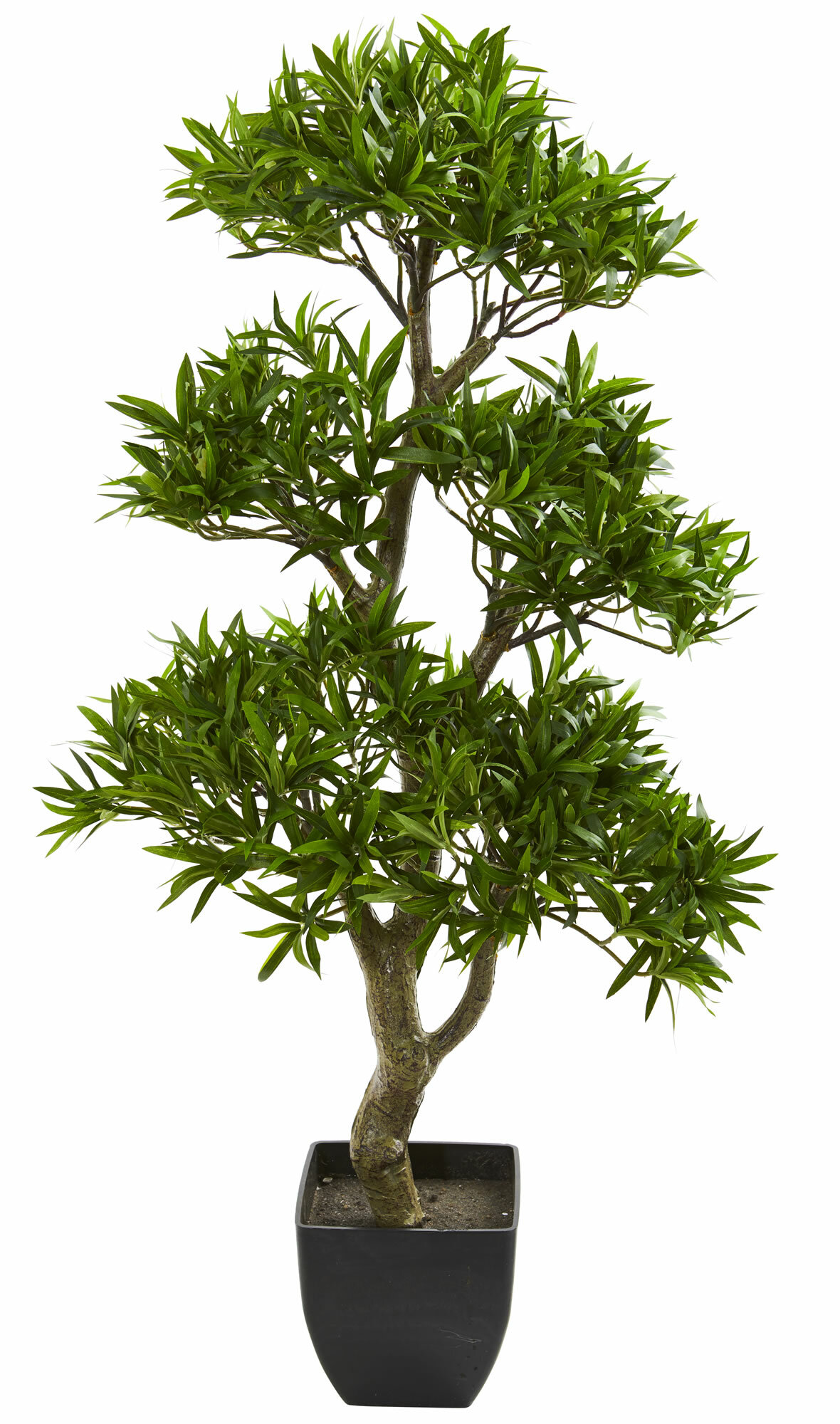 Charlton Home Artificial Podocarpus Foliage Tree in Planter & Reviews ...