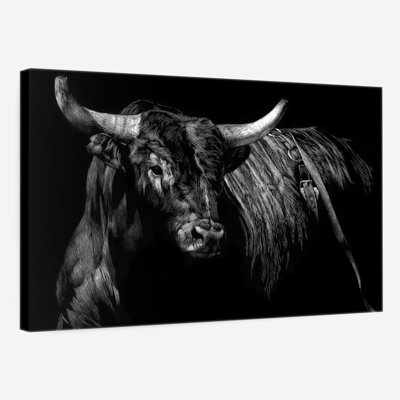 " Brindle Rodeo Bull "