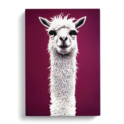 Ionie Face Of A Llama Vol.1 - Wrapped Canvas Print