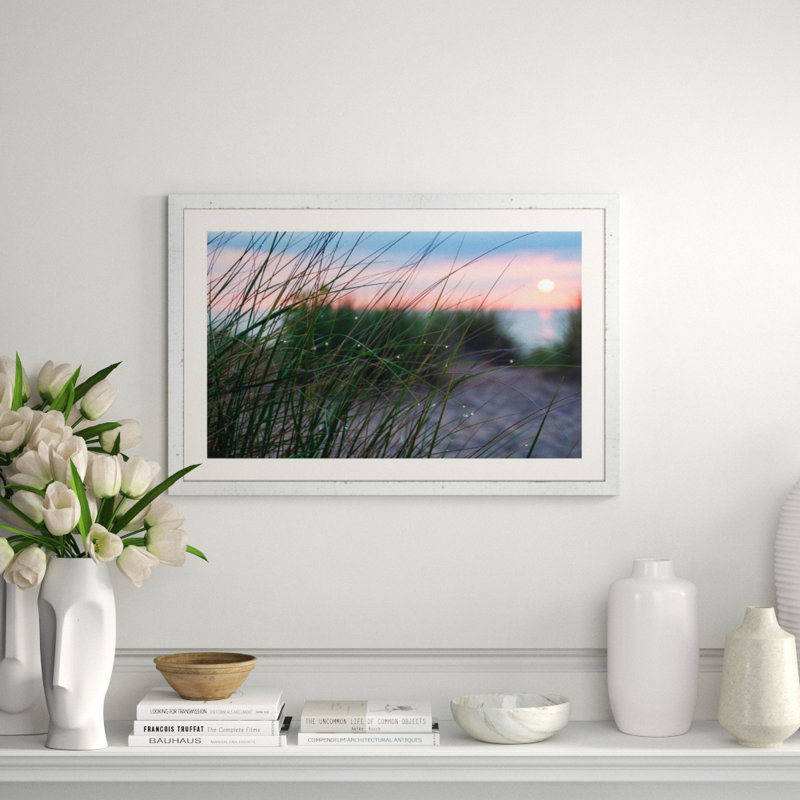 Dune Grass With Dew Print by Ted Glasoe